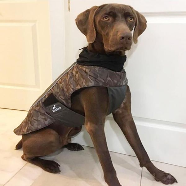 dog apparel camouflage jacket winter outdoor pet coat waterproof windproof jungle hunting camping clothes for small middle big dogs
dog apparel camouflage jacket winter outdoor pet coat waterproof windproof jungle hunting camping clothes for small middle big dogs