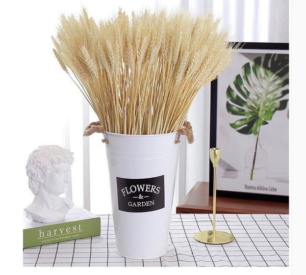 decorative flowers & wreaths 50pcs dried wheat stalks golden natural sheave bundle flower home kitchen dining table wedding decoration
decorative flowers & wreaths 50pcs dried wheat stalks golden natural sheave bundle flower home kitchen dining table wedding decoration