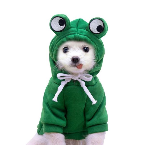 dog apparel clothes unique cute hoodie assorted shape pet sweater for cats puppies dogs
dog apparel clothes unique cute hoodie assorted shape pet sweater for cats puppies dogs
