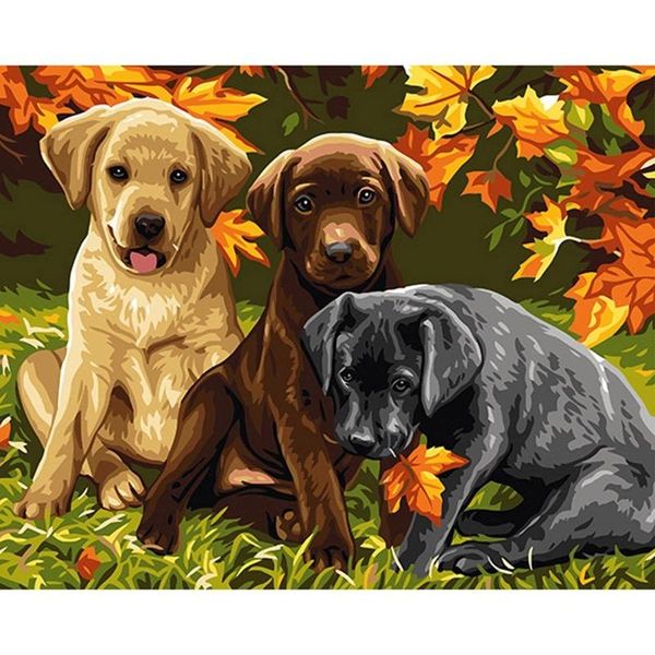 paintings dog pictures for paint with numbers frame on canvas handmade acrylic painting by number coloring drawing diy craft kits art
paintings dog pictures for paint with numbers frame on canvas handmade acrylic painting by number coloring drawing diy craft kits art
