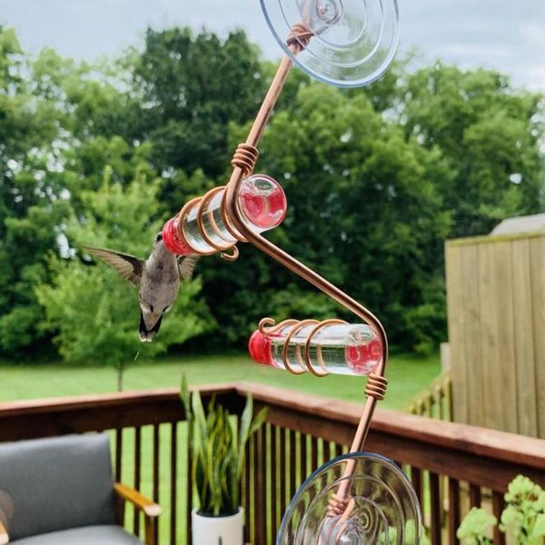 garden decorations outdoor bird water feeder bottle hanging hummingbird plastic iron hook pet supplies
garden decorations outdoor bird water feeder bottle hanging hummingbird plastic iron hook pet supplies