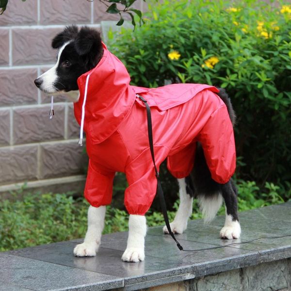 small dog full package raincoat teddy poncho pet four-foot waterproof clothing cat costumes
small dog full package raincoat teddy poncho pet four-foot waterproof clothing cat costumes