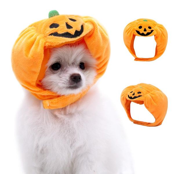 dog hat cat cap costume halloween pumpkin clothes for small pets puppy clothing cosplay accessories costumes
dog hat cat cap costume halloween pumpkin clothes for small pets puppy clothing cosplay accessories costumes