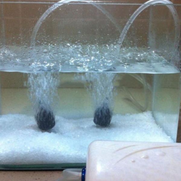 air pumps & accessories aquarium fish pond oxygen pump with 2pcs bubble disk stone aerator tank compressor check valve tube 220v 5w 50hz
air pumps & accessories aquarium fish pond oxygen pump with 2pcs bubble disk stone aerator tank compressor check valve tube 220v 5w 50hz