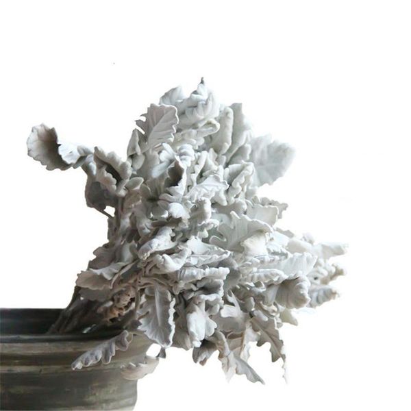 decorative flowers & wreaths natural preserved dried flower silver leaf chrysanthemum cineraria plant wedding bouquet home living room decor
decorative flowers & wreaths natural preserved dried flower silver leaf chrysanthemum cineraria plant wedding bouquet home living room decor