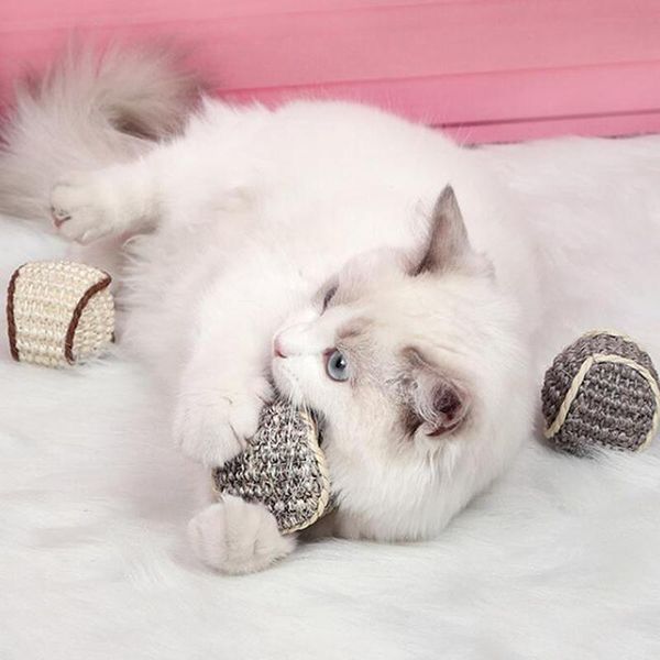 cat toys cats funny interactive chew with gnawing pet exercise toy sisal balls claw grinding tease ball for
cat toys cats funny interactive chew with gnawing pet exercise toy sisal balls claw grinding tease ball for