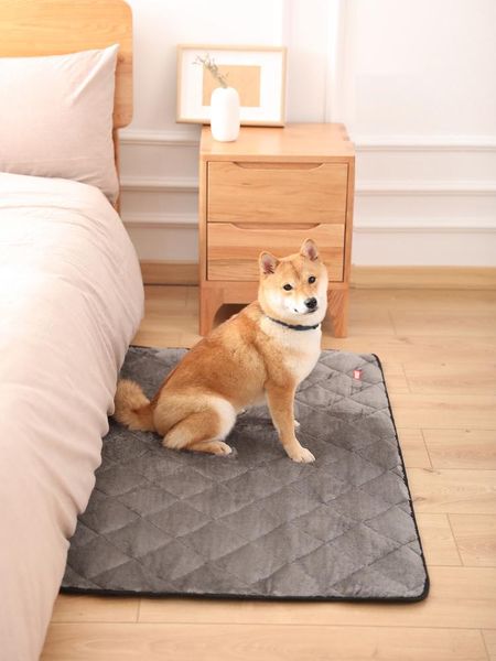 kennels & pens dog mats autumn and winter models for dogs nest cats pets four seasons universal sleeping mat blanket blanke
kennels & pens dog mats autumn and winter models for dogs nest cats pets four seasons universal sleeping mat blanket blanke