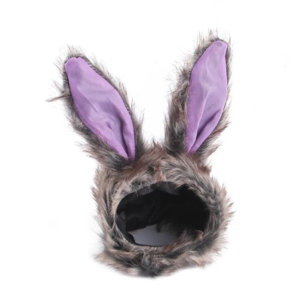 dog apparel 2021 halloween pet caps cute dress up gray hat for dogs hats pets funny costume cosplay
dog apparel 2021 halloween pet caps cute dress up gray hat for dogs hats pets funny costume cosplay