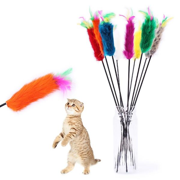 cat toys 1pc funny kitten teaser interactive toy rod and feather for cats stick mouse
cat toys 1pc funny kitten teaser interactive toy rod and feather for cats stick mouse