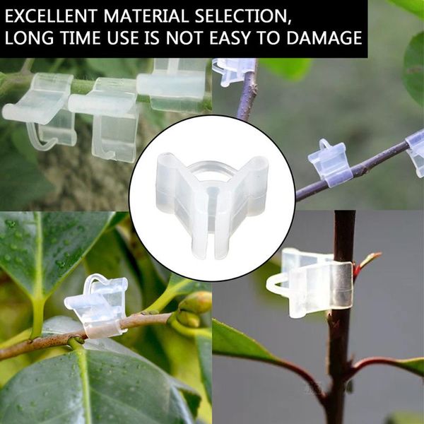 planters & pots 100pcs plant grafting clips garden flower vine grafted branches fixed clip trees vines transplanting tool
planters & pots 100pcs plant grafting clips garden flower vine grafted branches fixed clip trees vines transplanting tool