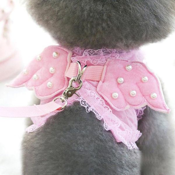 dog collars & leashes 2021 cute pet pearl angel harness vest collar chest strap leash for chihuahua teddy pooddle xs-l
dog collars & leashes 2021 cute pet pearl angel harness vest collar chest strap leash for chihuahua teddy pooddle xs-l