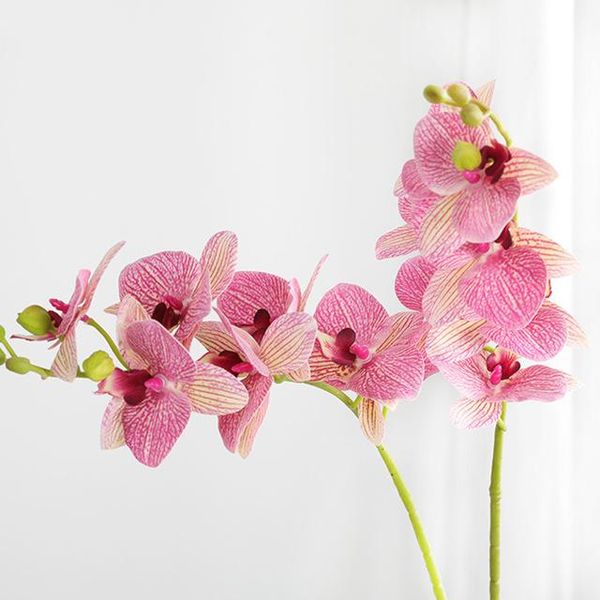 decorative flowers & wreaths 70cm artificial orchid flower real touch latex wedding decoration fake for home party supplies
decorative flowers & wreaths 70cm artificial orchid flower real touch latex wedding decoration fake for home party supplies