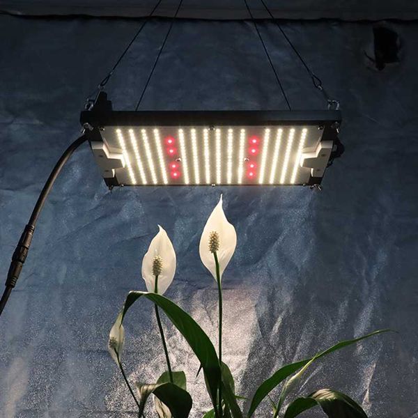 kingbrite 120w samsung lm301h cree xp-e2 660nm qb288 board ip65 waterproof led grow light kit lights
kingbrite 120w samsung lm301h cree xp-e2 660nm qb288 board ip65 waterproof led grow light kit lights