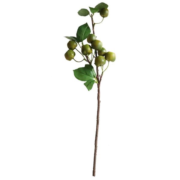 decorative flowers & wreaths artificial fruit tree branch simulation home office plant decor wedding party fake
decorative flowers & wreaths artificial fruit tree branch simulation home office plant decor wedding party fake