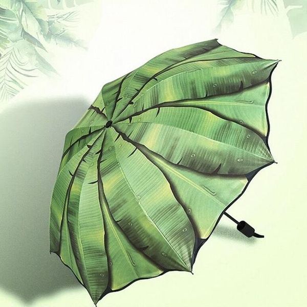 umbrellas fashion banana leaf umbrella rain women uv protection for men windproof foldable female
umbrellas fashion banana leaf umbrella rain women uv protection for men windproof foldable female