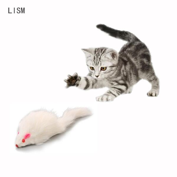 cat toys 5pcs false mouse toy funny fur pet for cats kitten play accessories supplies
cat toys 5pcs false mouse toy funny fur pet for cats kitten play accessories supplies