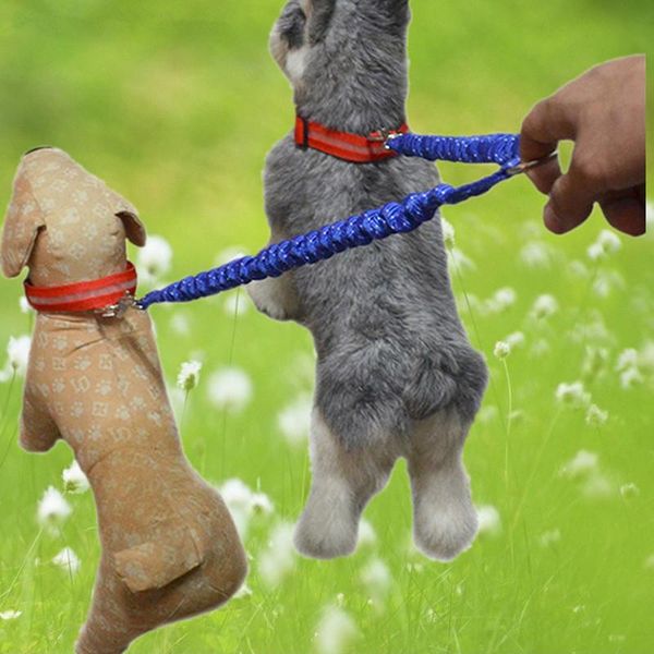 one tow two end dog traction rope explosion proof impact buffer elastic belt collars & leashes
one tow two end dog traction rope explosion proof impact buffer elastic belt collars & leashes