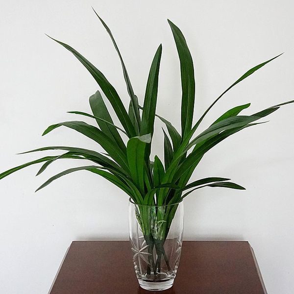 decorative flowers & wreaths artificial plants green grass plastic flower fake decor deskplant for wedding garden
decorative flowers & wreaths artificial plants green grass plastic flower fake decor deskplant for wedding garden