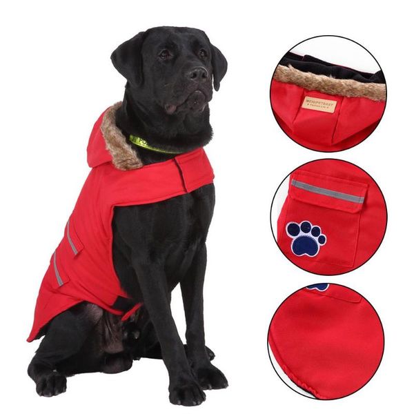 dog apparel large sweater winter warm pet clothes for small chihuahua golden retriever coat puppy suit dogs pets clothing
dog apparel large sweater winter warm pet clothes for small chihuahua golden retriever coat puppy suit dogs pets clothing