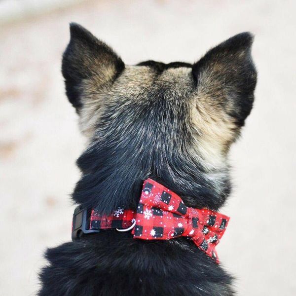 dog collars & leashes cute christmas cat pet puppy bow knot necktie collar tie supplies
dog collars & leashes cute christmas cat pet puppy bow knot necktie collar tie supplies