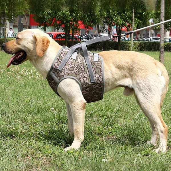 dog collars & leashes pet chest strap vest type leash explosion-proof flush handheld comfortable durable supplies
dog collars & leashes pet chest strap vest type leash explosion-proof flush handheld comfortable durable supplies