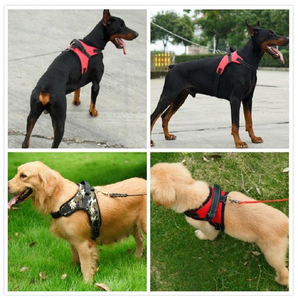 pet products for large dog harness soft adjustable walk out medium chest strap pets accessories collars & leashes
pet products for large dog harness soft adjustable walk out medium chest strap pets accessories collars & leashes
