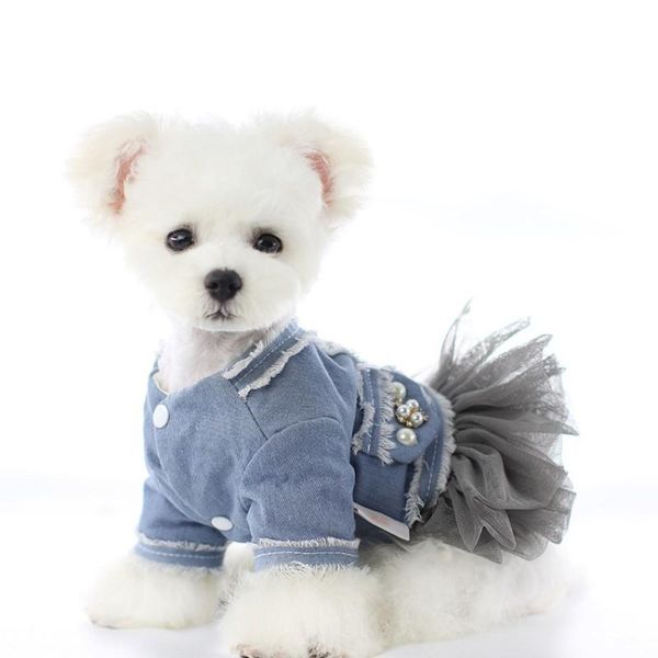 dog apparel pet clothing 2021 autumn and winter clothes cat bichon small fragrant denim tutu skirt
dog apparel pet clothing 2021 autumn and winter clothes cat bichon small fragrant denim tutu skirt