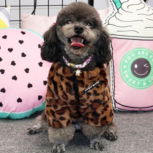 autumn and winter clothing for pet dog