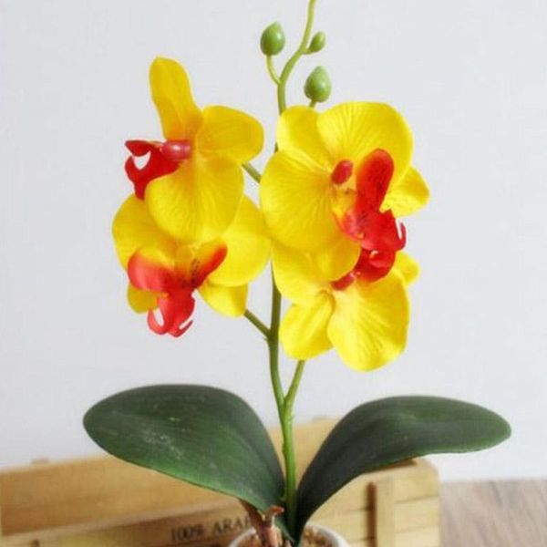 simulation flowers fancy four butterfly orchid meaty plant bonsai flower arranging accessories md7 decorative & wreaths
simulation flowers fancy four butterfly orchid meaty plant bonsai flower arranging accessories md7 decorative & wreaths
