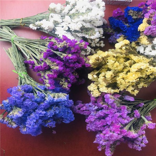 decorative flowers & wreaths 100% natural true dried forget-me-nots 15-20cm wedding valentine's day party decoration home garden decor
decorative flowers & wreaths 100% natural true dried forget-me-nots 15-20cm wedding valentine's day party decoration home garden decor