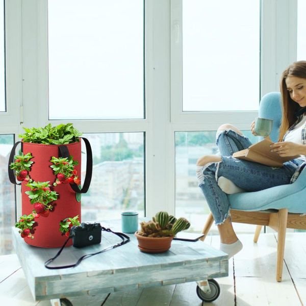 hanging strawberry planting feltcloth container bag garden pot outdoor accessories for courtyard nursery trays planters & pots
hanging strawberry planting feltcloth container bag garden pot outdoor accessories for courtyard nursery trays planters & pots
