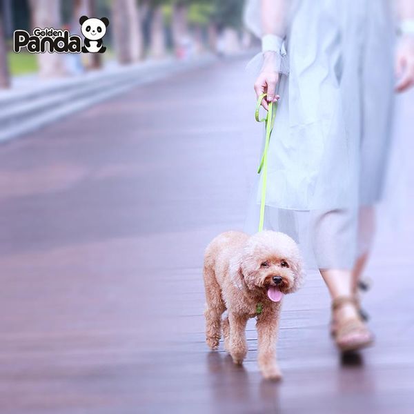 dog pet adjustable harness belt traction rope puppy lead leash toys chain collars interactive toy & leashes
dog pet adjustable harness belt traction rope puppy lead leash toys chain collars interactive toy & leashes