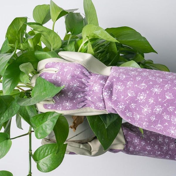 disposable gloves 1 pair garden faux leather rubber with quick easy to dig and plant for digging planting
disposable gloves 1 pair garden faux leather rubber with quick easy to dig and plant for digging planting