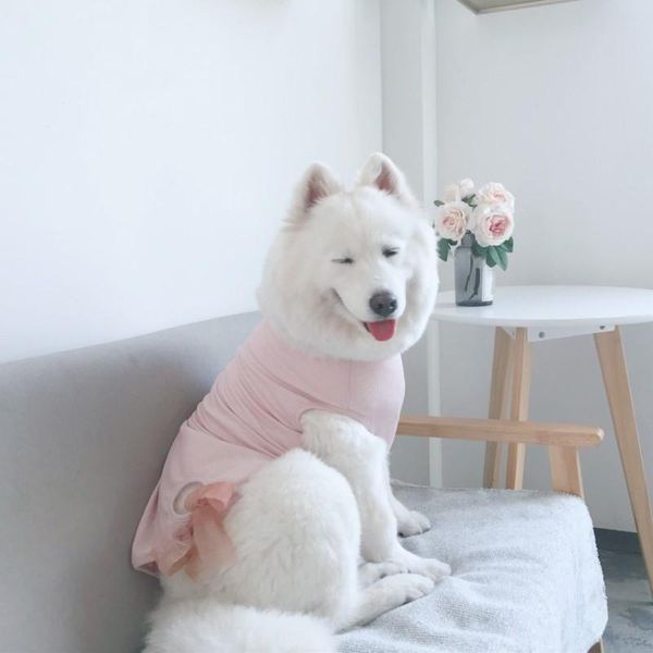 dog apparel pets products fashion big clothes labrador samoyed husky and other dogs shirt
dog apparel pets products fashion big clothes labrador samoyed husky and other dogs shirt