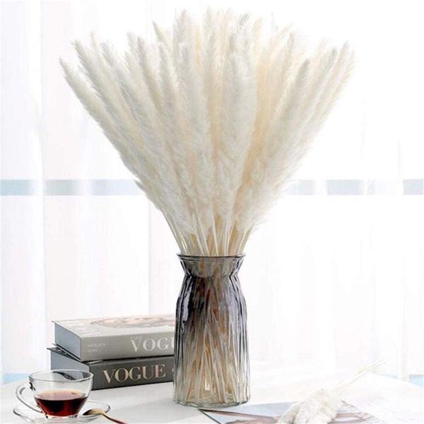 decorative flowers & wreaths small reed natural preserved dried pampas grass home wedding bulrush phragmites decoration accessories shooting
decorative flowers & wreaths small reed natural preserved dried pampas grass home wedding bulrush phragmites decoration accessories shooting
