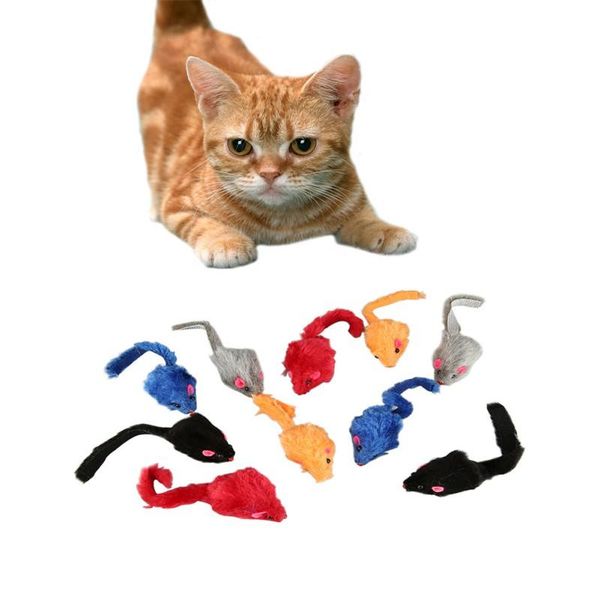 cat toys 10pcs/set pet dog mice funny soft fleece false mouse feather playing for small cats kitten gato
cat toys 10pcs/set pet dog mice funny soft fleece false mouse feather playing for small cats kitten gato