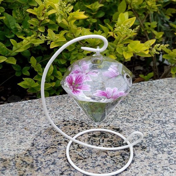 vases diamond wealth clear glass round with 2holes flower plant stand hanging vase hydroponic home office wedding decor
vases diamond wealth clear glass round with 2holes flower plant stand hanging vase hydroponic home office wedding decor