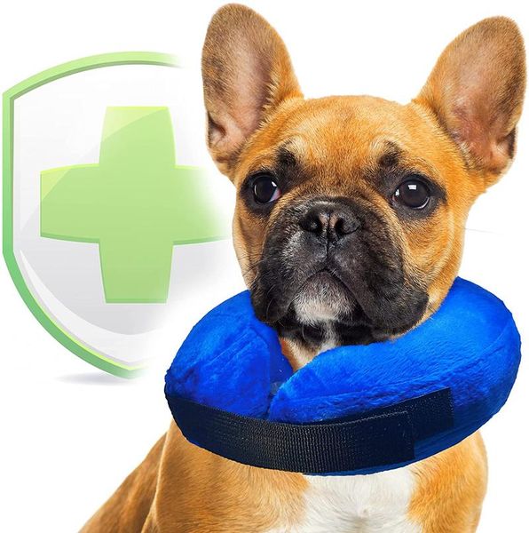 dog apparel soft cone collar for large xl medium small dogs after inflatable cat neck donut colla
dog apparel soft cone collar for large xl medium small dogs after inflatable cat neck donut colla