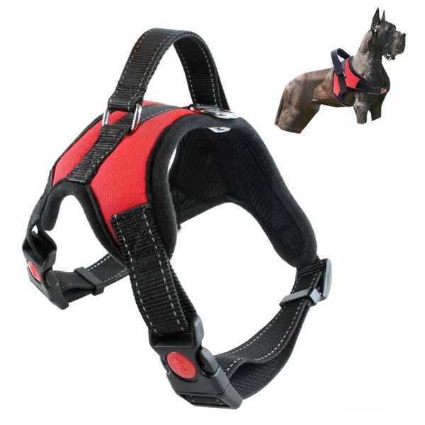 dog collars & leashes harness reflective nylon pet leash vest breathable cushion collar adjustable accessories for small and large
dog collars & leashes harness reflective nylon pet leash vest breathable cushion collar adjustable accessories for small and large