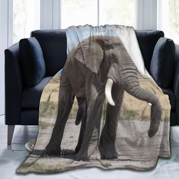 blankets african elephant ceiling sublimation covering bed sheet flannel children's and bedroom decoration blanket
blankets african elephant ceiling sublimation covering bed sheet flannel children's and bedroom decoration blanket