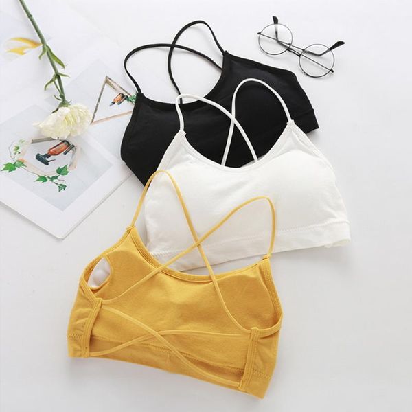 yoga outfit bra wrap ladies bralette crop tube women bandeau seamless chest beautiful back strap girl underwear vest bras
yoga outfit bra wrap ladies bralette crop tube women bandeau seamless chest beautiful back strap girl underwear vest bras