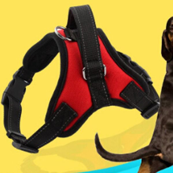 dog collars & leashes pets harness vest reflective tape breathable mesh pet dogs leash collar accessories
dog collars & leashes pets harness vest reflective tape breathable mesh pet dogs leash collar accessories