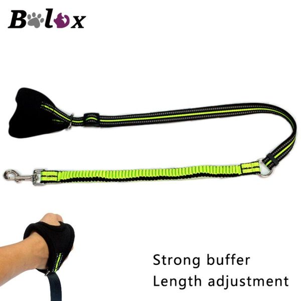 dog collars & leashes bolux 1.55m nylon reflective leash for small medium dogs stretch pet 3color puppy kitten universal arnes perro
dog collars & leashes bolux 1.55m nylon reflective leash for small medium dogs stretch pet 3color puppy kitten universal arnes perro