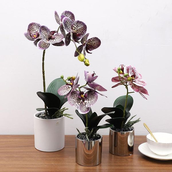 decorative flowers & wreaths artificial silk white orchid butterfly moth phalaenopsis fake flower for wedding home festival dec
decorative flowers & wreaths artificial silk white orchid butterfly moth phalaenopsis fake flower for wedding home festival dec