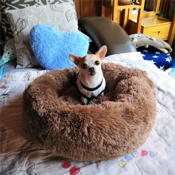 cat beds & furniture long plush pet dog sleeping bed winter warm dogs kennel cushion for medium small soft round nest house cats basket sofa
cat beds & furniture long plush pet dog sleeping bed winter warm dogs kennel cushion for medium small soft round nest house cats basket sofa