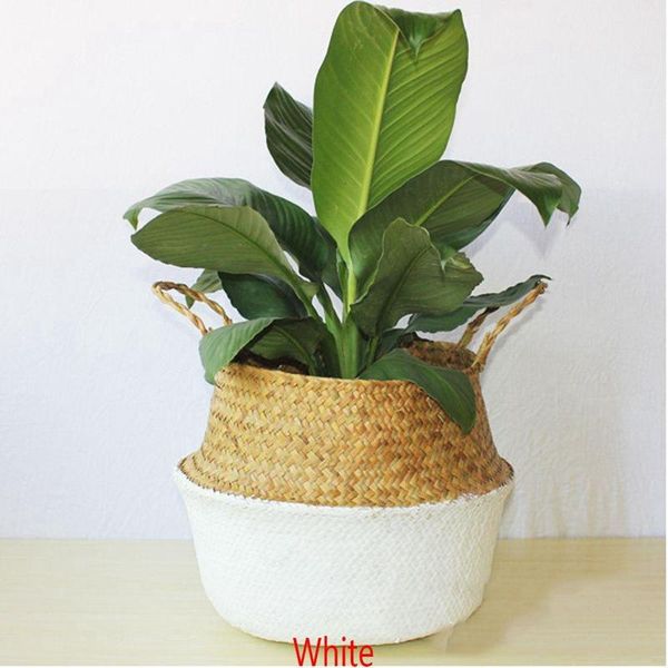 vases rattan basket straw garden foldable flower pot hanging wicker storage woven seagrass vase org
vases rattan basket straw garden foldable flower pot hanging wicker storage woven seagrass vase org