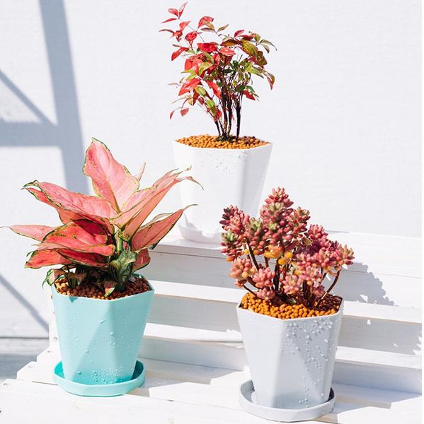 planters & pots plastic succulent flowerpot modern small gallon planter ins style nordic simple imitation flower pot home decoration
planters & pots plastic succulent flowerpot modern small gallon planter ins style nordic simple imitation flower pot home decoration