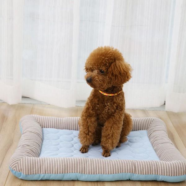 kennels & pens pets summer cooling sleeping pad non-toxic breathable washable mat cat bed dog nest accessories panier chien hondenmand hond
kennels & pens pets summer cooling sleeping pad non-toxic breathable washable mat cat bed dog nest accessories panier chien hondenmand hond