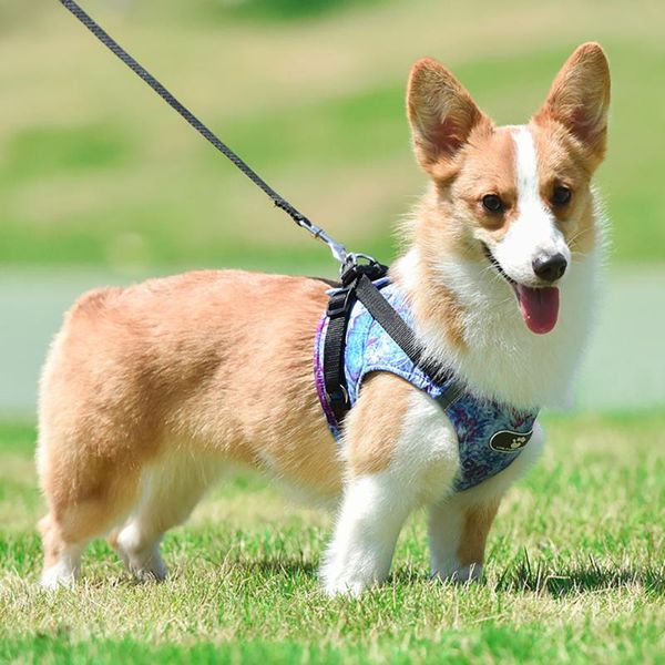est fashion dog harness and leash set breathable puppy cat vest reflective walking lead collar pet accessories collars & leashes
est fashion dog harness and leash set breathable puppy cat vest reflective walking lead collar pet accessories collars & leashes