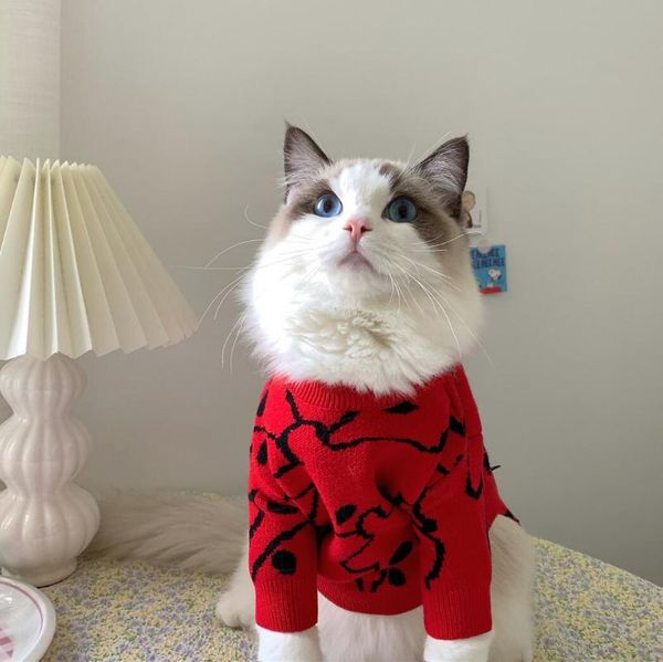 cat costumes sweater costume winter warm pet clothes for cats katten sphynx pullover mascotas clothing
cat costumes sweater costume winter warm pet clothes for cats katten sphynx pullover mascotas clothing